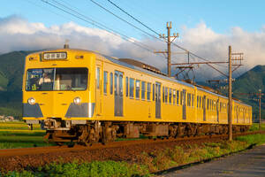 鉄道 デジ 写真 画像 三岐鉄道 西武カラー 6