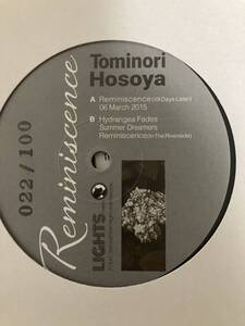 Tominori Hosoya / Reminiscence 12inch レコード　限定100枚　derrick may XDB