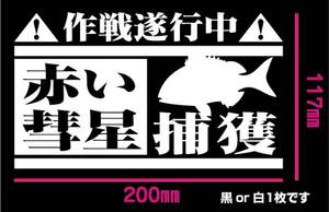 釣り　ステッカー 真鯛　「赤い彗星　捕獲作戦遂行中！」　マダイ