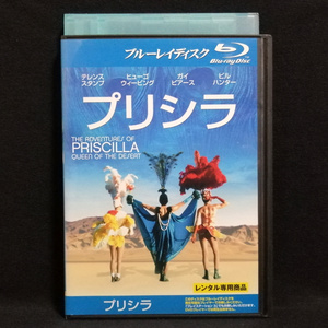 Blu-ray / プリシラ テレス・スタンプ ガイ・ピアース ヒューゴ・ウィービング レンタル版