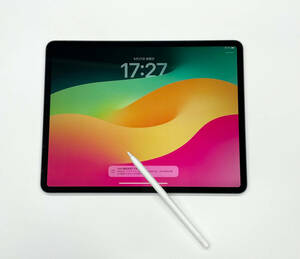 Apple iPad Pro 第4世代 12.9インチ Wi-Fi 256GB MXAT2J/A 初期化済 Apple Pencil付 動品