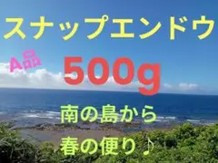 沖永良部島産スナップエンドウf　500ｇ