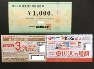 ビックカメラ 株主優待券　1000円分＋クーポン券（ポイントアップ、買取増額）