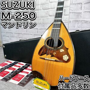 スズキ　マンドリン　Ｍ-250 ハードケース　付属品多数　弦楽器　鈴木バイオリン