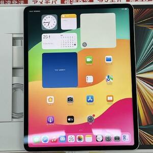 iPad Pro 12.9インチ 第5世代 2TB docomo版SIMフリー バッテリー98% 極美品[263344]