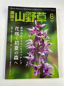 趣味の山野草　2018年6月★花咲く初夏の森へ★古本