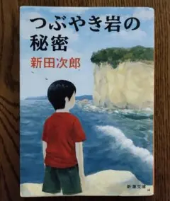 つぶやき岩の秘密 新田次郎