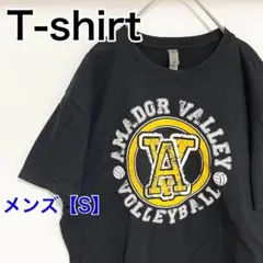 YAA36【US輸入】AMADOR VALLEY　Tシャツ【メンズS相当】黒色