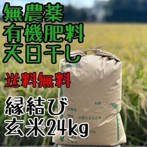 【送料無料】新米 玄米24kg 有機栽培 無農薬 天日干し 令和６年静岡県産 オーガニック 特別栽培米 マクロビ 有機農法