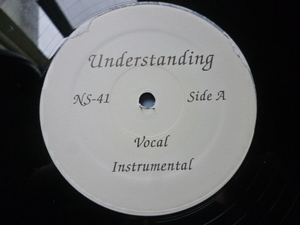 Nas / Understanding 試聴可 激ドープ HIPHOP CLASSIC 12 Life Is Like A Dice Game 収録