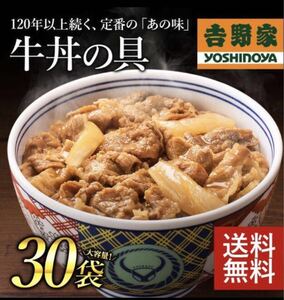 東北・関東・北陸・中部・近畿地方限定！吉野家 牛丼 冷凍牛丼の具 120g 30食 冷凍 30袋 セット 送料無料