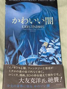 かわいい闇 マリー・ポムピュイ 作 ファビアン・ヴェルマン 作 ケラスコエット 画 原　正人 訳　帯付き