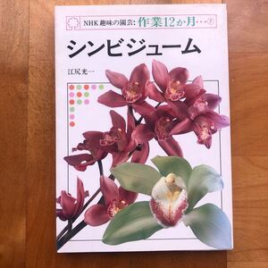 シンビジューム NHK出版　本　写真あり 趣味の園芸