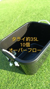 メダカ容器 約35L　10個　オーバーフロー加工