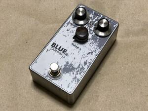 [自作]Browne Amplification PROTEIN / Blue Ch のみ クローン