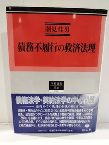 学術選書33 民法 債務不履行の救済法理　潮見佳男　信山社【ac01x】