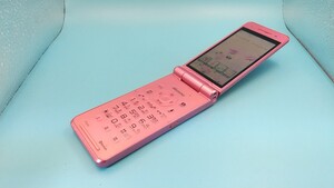 K764 docomo FOMA P-01G Panasonic ガラケー/ケータイ/パナソニック 簡易動作確認＆簡易清掃＆初期化OK 判定○ 現状品 送料無料　