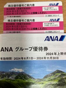 ANA 株主優待 2枚とANAグループ優待券 クーポン セット