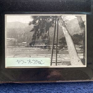 ポストカード　☆　絵葉書　レア貴重　昔の懐かしい古写真　京都名所　嵐山　渡月橋　１枚　昭和レトロ　アンティーク雑貨