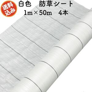 防草シート 白色（サンホワイト） 1m×50m 4本セット 抗菌剤 UV剤入り 反射 除草シート 雑草対策 太陽光 野菜 畑 農業