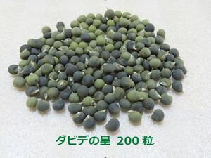 オクラ種　☆ダビデの星☆ 200粒　　　★　農薬不使用　★