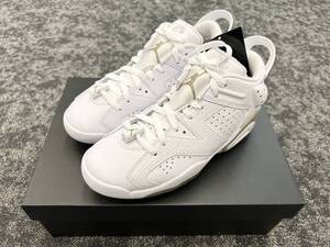 【送料無料】【新品】 24.5cm NIKE JORDAN RETRO ６ G ナイキ ジョーダン レトロ ６ DV1376-100