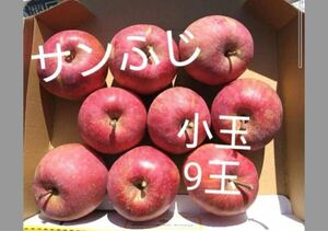 サンふじ　小玉9玉家庭用　葉とらずりんご　信州飯綱産