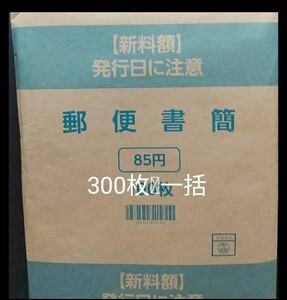 ミニレター　完封　300枚 簡易書簡　封筒　新料金