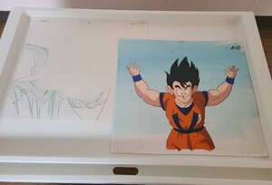 DRAGON BALL　孫悟空　セル画　直筆背景付き　鳥山明　ドラゴンボール