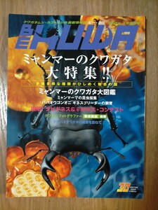 BE-KUWA ビークワ 30 冬号 2009 雑誌:月刊むし 増刊