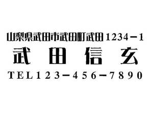 18 即決 住所印 住所判 ゴム印 スタンプ はんこ 送料込