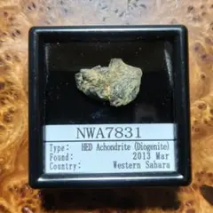 小惑星ベスタ起源　ＮＷＡ7831隕石標本