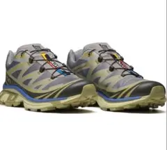 Salomon xt-6 グレー　29㎝