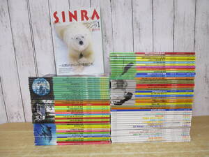 i10-5（SINRA シンラ）79冊セット 1994年～2000年 創刊号有 年間揃い有 まとめ売り 深呼吸する地球マガジン 新潮社 篠山紀信 雑誌