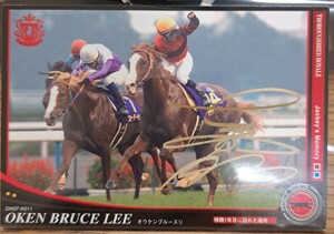 ★競馬カード★オーナーズホース07★サラブレッドロワイヤル★オウケンブルースリ★主戦 内田博幸★サインプリント★菊花賞(2008)★