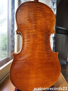 Labelled “Nakau Violin Co.,ltd Copy of Antonius Stradiyarus 1720 Anno 1998 4/4 No200 Made In China 中提15.5#”＊