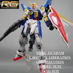 RG Wガンダム(TV版）　塗装済み完成品