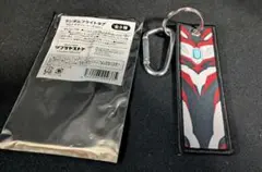 ランダムフライトタグ ウルトラマンジード プリミティブ