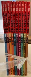 カラー図解人体の正常構造と機能　第1版　1～10 10冊セット