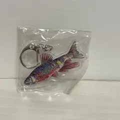 【新品】平面水族館 アクリルキーホルダー オイカワ