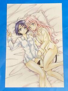  To LOVEる　とらぶる　 原画展 ポストカード　ｃ25 （検索） ヤミ ララ モモ　美柑 春菜 ナナ 唯　メア