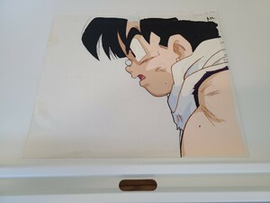 DRAGON BALL　孫悟飯　セル画　直筆動画　検　鳥山明　ドラゴンボール　その19