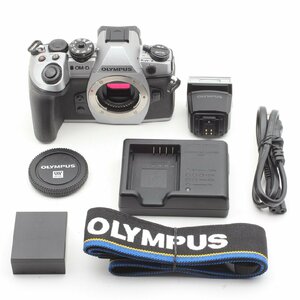 【ショット数1201枚】OLYMPUS オリンパス OM-D E-M1 MarkII ボディ