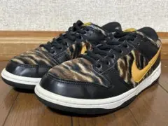 NIKE DUNK LOW GS "YEAR OF TIGER" 23.0cm