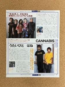 「CANNABIS／うたいびと はね／THE JERRY LEE PHANTOM／小林建樹」切り抜き