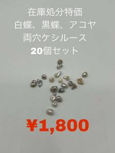 在庫処分特価　白蝶、黒蝶、アコヤ　両穴ケシルース　20個セット　KS-033