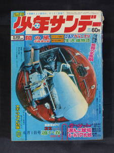 【未検品】【週刊少年サンデー 1969年 昭和44年 23号（本誌）】WS-172