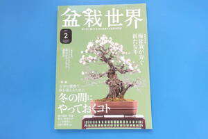 盆栽世界 2021年2月号/保存版解説資料/BONSAI/特集:冬の間にやっておくコト/万全の態勢で春を迎える/手入れ/掃除/消毒/剪定/針金かけ/管理