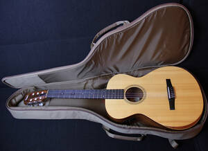 Taylor Guitars Academy 12e-N