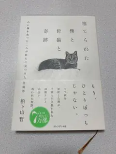 捨てられた僕と母猫と奇跡